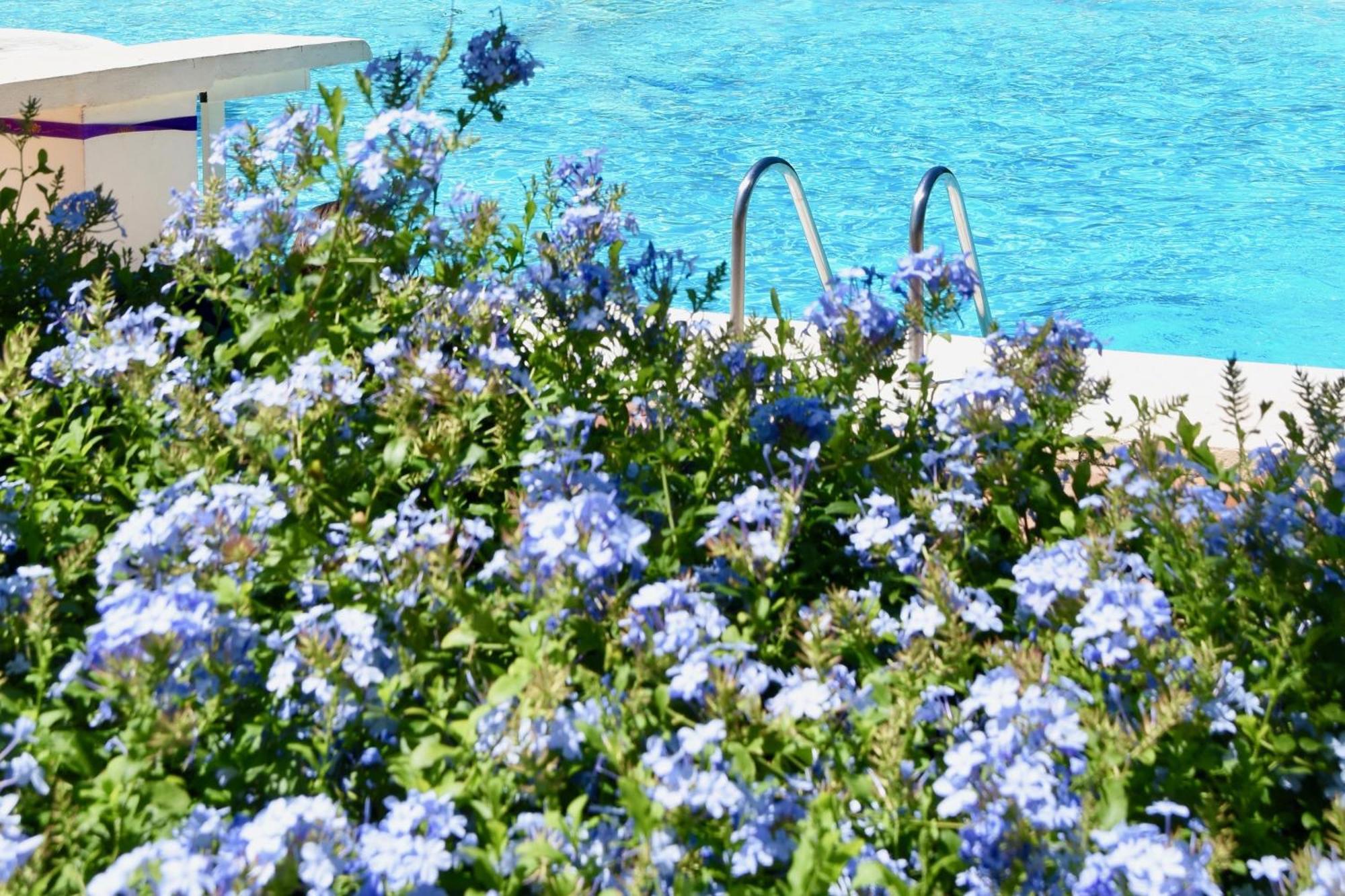 Hotel U Farniente Bonifacio  Esterno foto